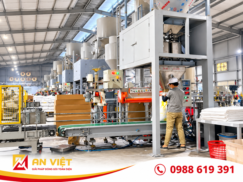 Lắp đặt dàn 10 cân đóng bao dạng hạt cho nhà máy An Tiến